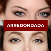 Todos os Gêneros
